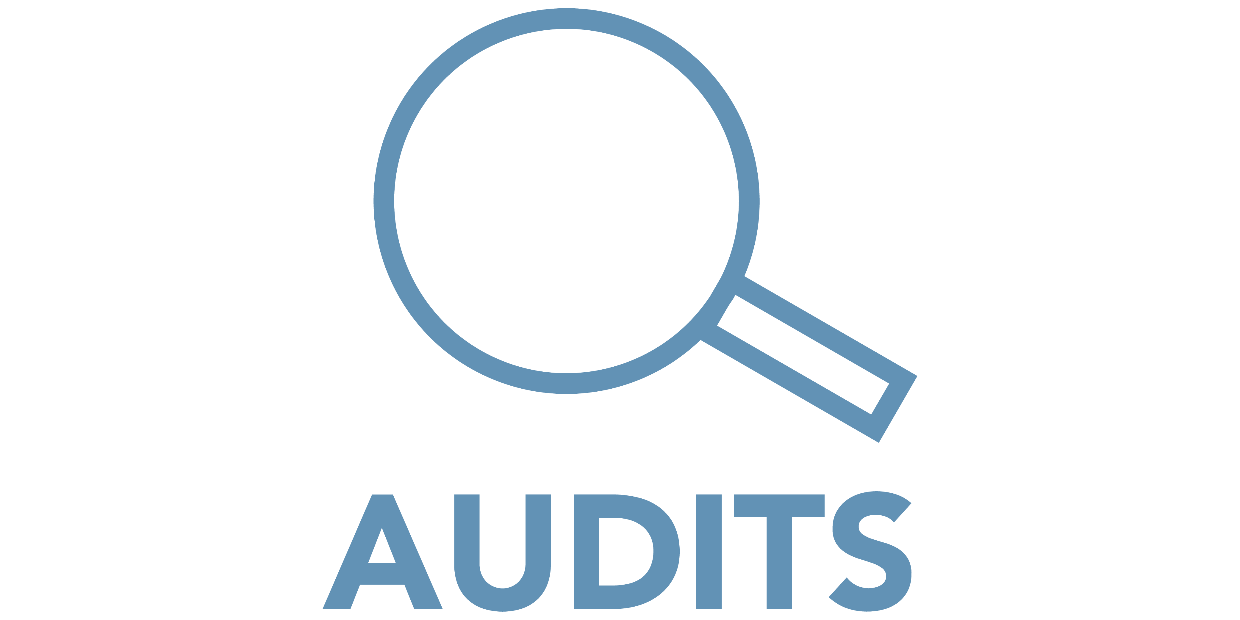 WP_ICON_audits-01